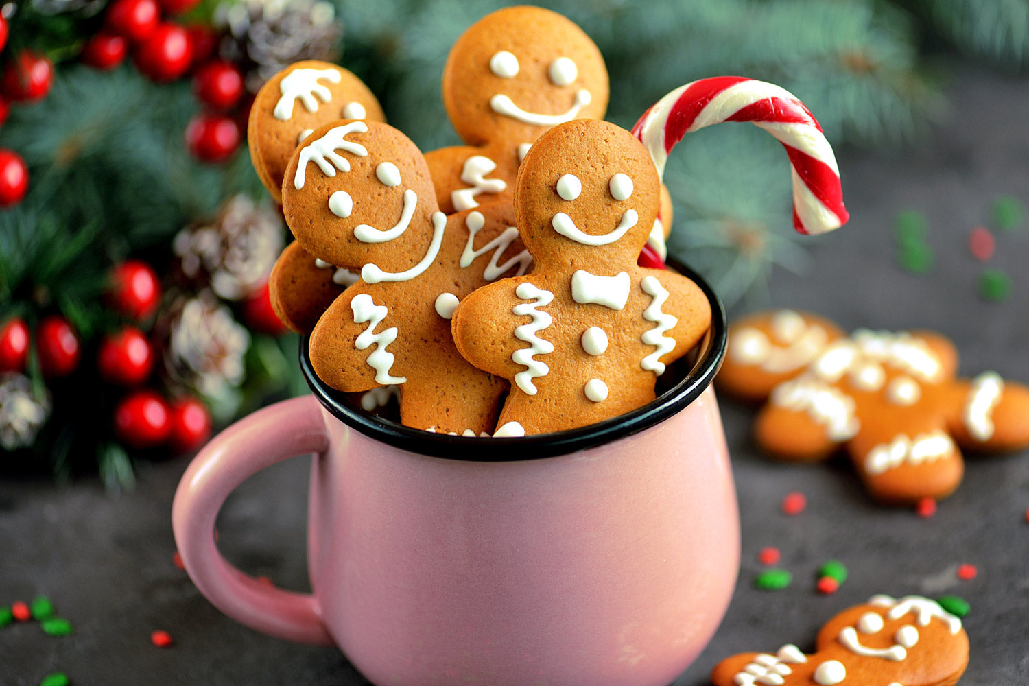 Gingerbread Muscle Man Protein Cookies Recipe – Trulean Nutrition